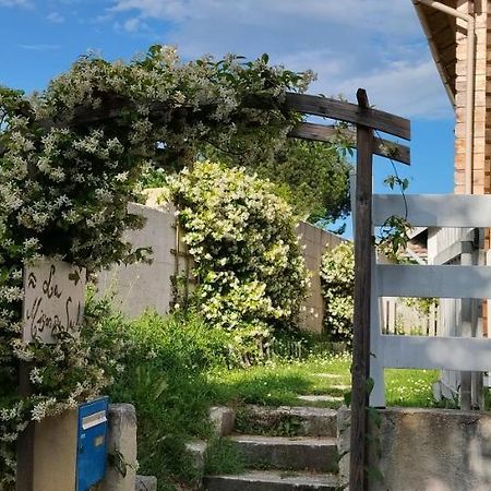 La Maison Du Saule Pompignac Exteriér fotografie